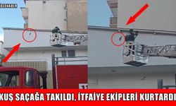 Muş’ta çatı saçağına takılan kuşu itfaiye kurtardı