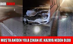 Muş-Bingöl kara yolunda at kazası: Çok sayıda yaralı var