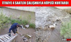 Muş’ta 4 saatlik kurtarma operasyonu: Çar Çayı’na düşen köpek itfaiye ekipleri tarafından kurtarıldı