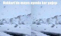 Hakkari'de mayıs ayında kar yağışı