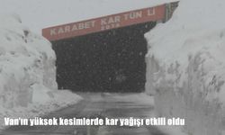 Van'ın yüksek kesimlerde kar yağışı etkili oldu