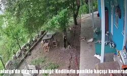 Malatya'da depremde kedilerin panikle kaçışı kamerada