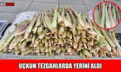 Muş’ta uçkun satışı başladı