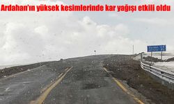 Ardahan'ın yüksek kesimlerinde kar yağışı etkili oldu