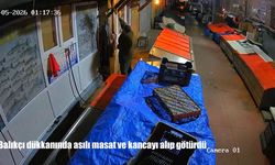 Balıkçı dükkanında asılı masat ve kancayı alıp götürdü