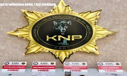Kars’ta uyuşturucu satıcılarına darbe: 1 tutuklama