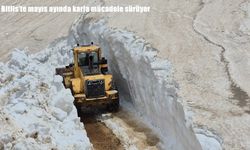 Bitlis’te mayıs ayında karla mücadele sürüyor