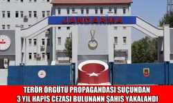 Muş’ta ‘terör propagandası’ndan aranan hükümlü yakalandı
