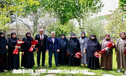 Vali Çelik, şehit annelerini valilik konutunda ağırladı