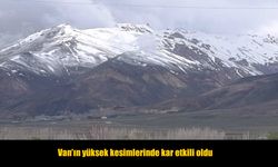 Van'ın yüksek kesimlerinde kar etkili oldu