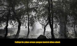 Fethiye'de çıkan orman yangını kontrol altına alındı