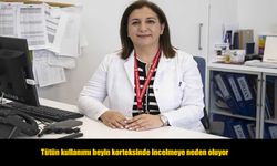 Nöroloji Uzmanı Açıkladı: Sigara Beyin Korteksini İnceltiyor