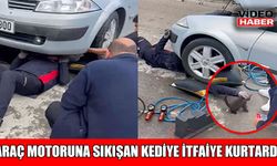 Muş’ta otomobilin motoruna sıkışan yavru kedi kurtarıldı