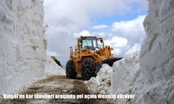 Bingöl'de kar tünelleri arasında yol açma mesaisi sürüyor