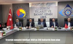 Erzurum sanayisi büyüyor: OSB’ye 246 hektarlık ilave alan