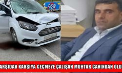 Muş’ta feci kaza: Yolun karşısına geçmek isteyen muhtar hayatını kaybetti