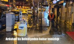Ardahan'da Belediyeden bahar temizliği