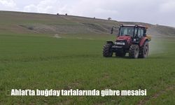 Ahlat'ta buğday tarlalarında gübre mesaisi