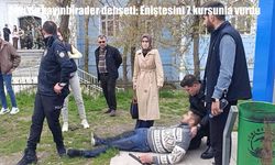 Ağrı’da adliye önünde silahlı saldırı: Eniştesine 7 el ateş etti