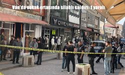 Van'da sokak ortasında silahlı saldırı: 1 yaralı