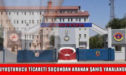 Muş’ta 7 yıl hapis cezasıyla aranan hükümlü yakalandı
