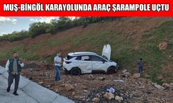 Muş-Bingöl kara yolunda kaza: 6 yaralı