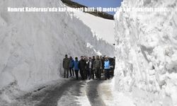 Bitlis’te 10 metrelik kar duvarları aşıldı