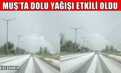 Muş’a mayıs ortasında dolu yağdı