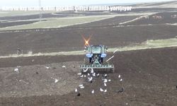 Kars’ta kış uzadı, ekim gecikti: Çiftçi zamanla yarışıyor