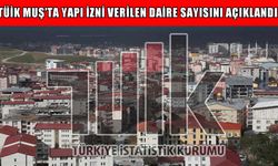 Muş'ta yapı izni verilen daire sayısı açıklandı