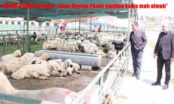 MESOB Başkanı Keskin: "Canlı Hayvan Pazarı yeniden kamu malı olmalı"