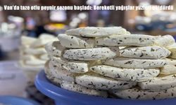 Van'da taze otlu peynir sezonu başladı: Bereketli yağışlar yüzleri güldürdü