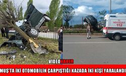 Muş-Bitlis kara yolunda iki araç çarpıştı: 2 yaralı