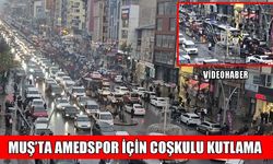 Amedspor Süper Lig’e yükseldi: Muş’ta şampiyonluk kutlamaları sokaklara taştı