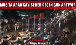 Muş’ta araç sayısı 43 bini aştı