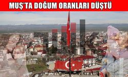 TÜİK doğum istatistiklerini yayımladı: Muş’ta doğum oranı düşüyor