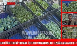 Muş’ta sebze ve meyve fideleri tezgâhlarda yerini aldı