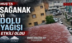 Muş'ta sağanak ve dolu hayatı felç etti