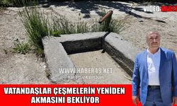 Muş Tandoğan Köyü sakinleri susuzlukla mücadele ediyor
