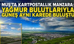 Bahar yağmurları sonrası Muş’ta doğa şöleni