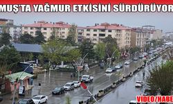 Muş sağanak yağış altında