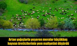 Yağışlar Üreticinin Yüzünü Güldürdü: Yem Maliyetleri Düştü