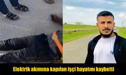 Kabloları Onarmaya Çalışırken Canından Oldu