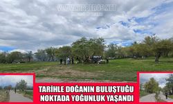 Muş’un gözde mesire alanında hafta sonu yoğunluğu