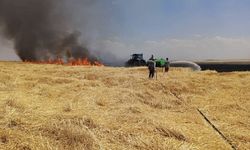 Diyarbakır’da yüzlerce dönüm arazi alevlere teslim oldu