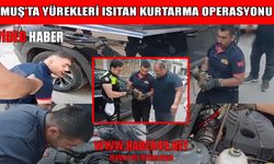 Muş’ta araç motorunda mahsur kalan yavru kedi kurtarıldı