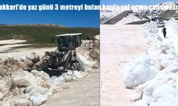 Hakkari'de yaz günü 3 metreyi bulan karda yol açma çalışması