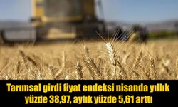 Nisan verileri açıklandı: Tarımda maliyetler yükselmeye devam ediyor