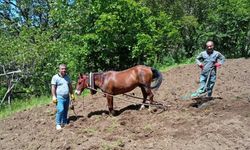 Bitlis’in Hizan ilçesinde engebeli araziler karasabanla sürülüyor