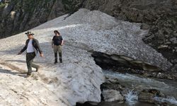 Bitlis’in dağlarından süzülen kar suları Van Gölü’ne can veriyor